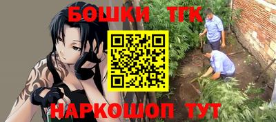 индика Краснокаменск