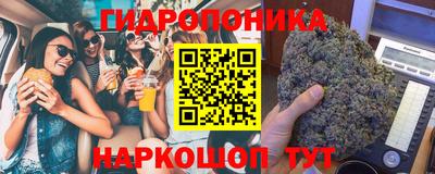 индика Краснокаменск