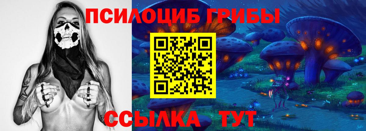 Псилоцибиновые грибы Psilocybe Ухта